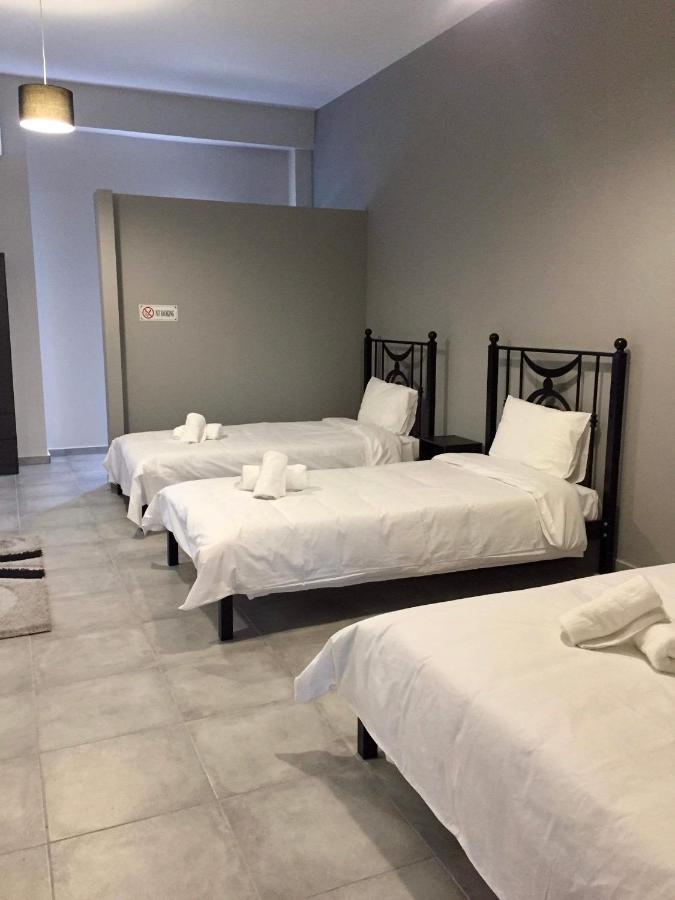 칼람파카 Meteora House- Cozy Living 아파트 외부 사진