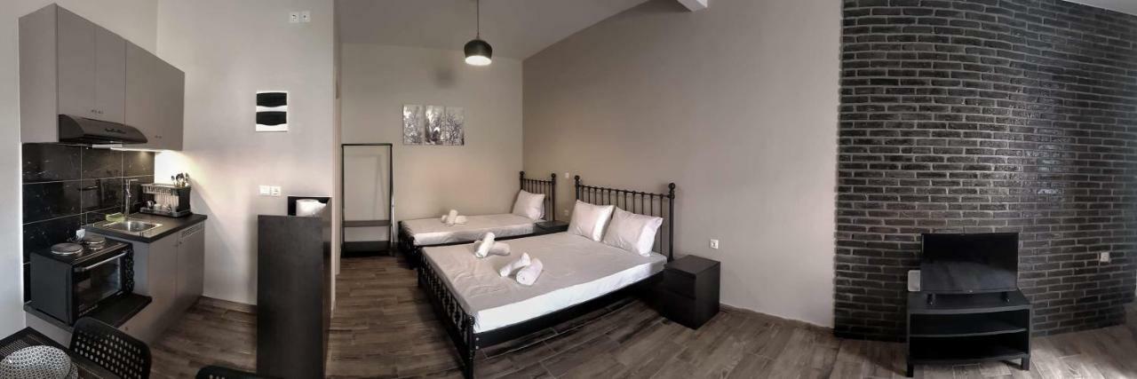 칼람파카 Meteora House- Cozy Living 아파트 외부 사진